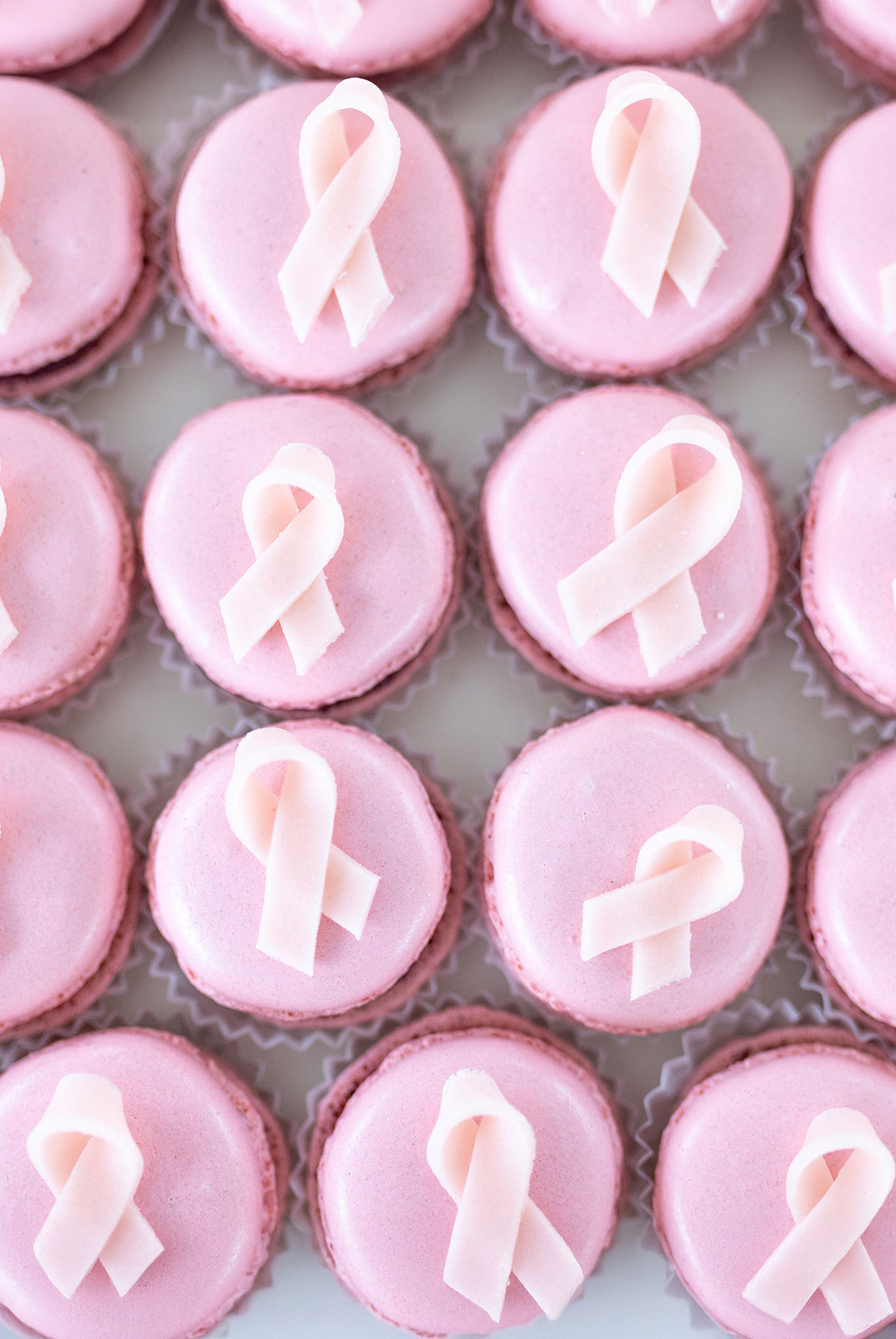 _O7A4525-MonicaBellSass