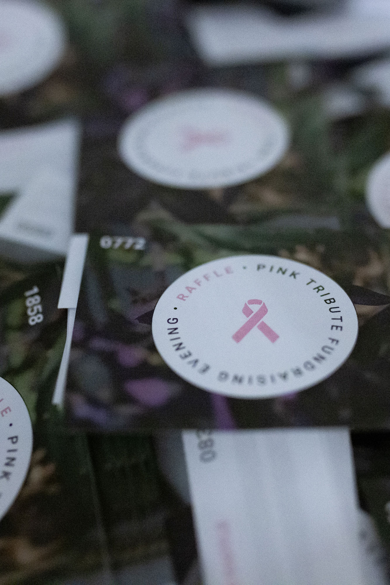 _O7A5200-MonicaBellSass