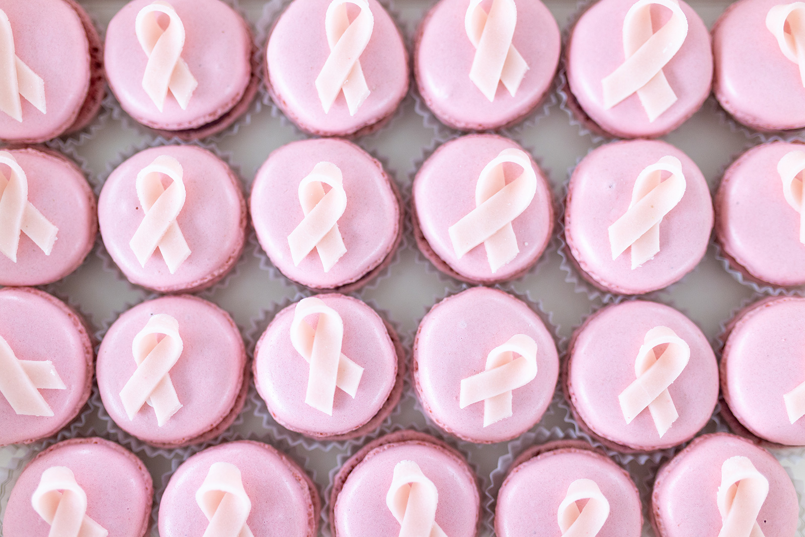 Pinktribute_event-2024_12
