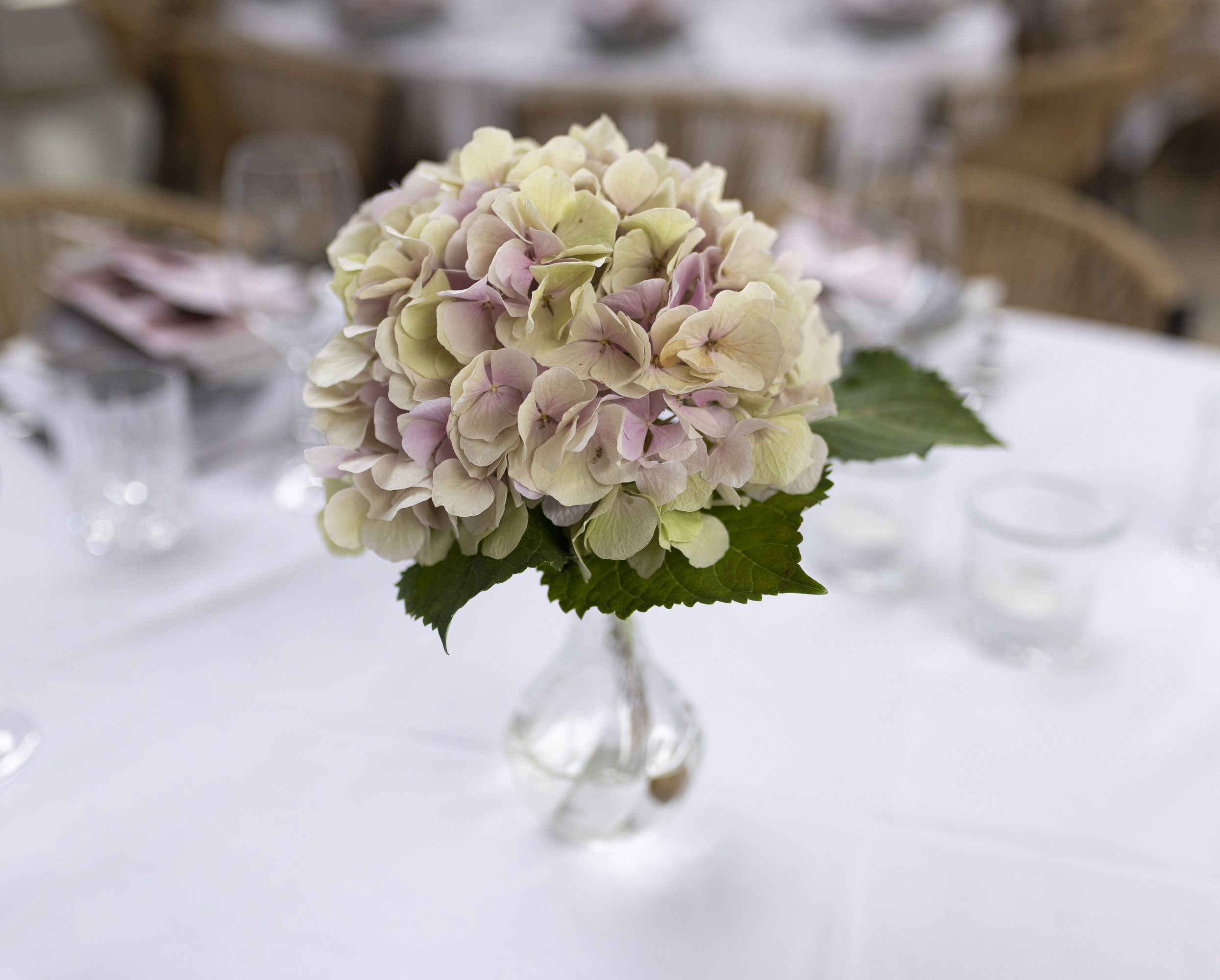 _O7A4519-MonicaBellSass-2