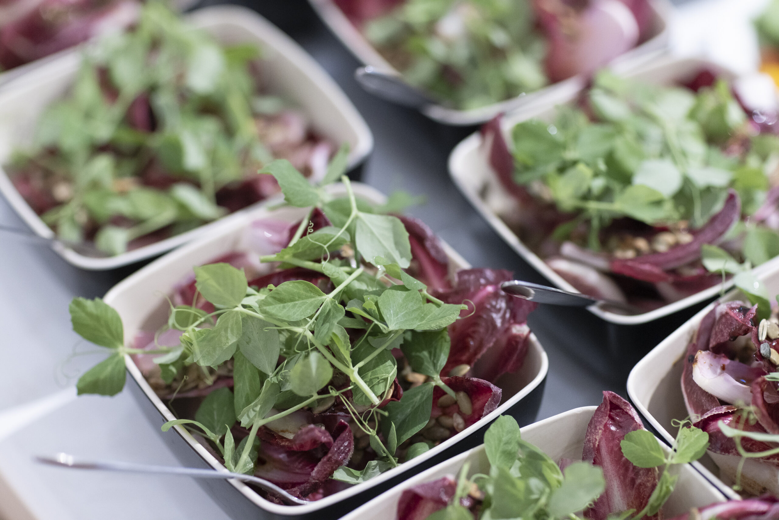 _O7A5285-MonicaBellSass