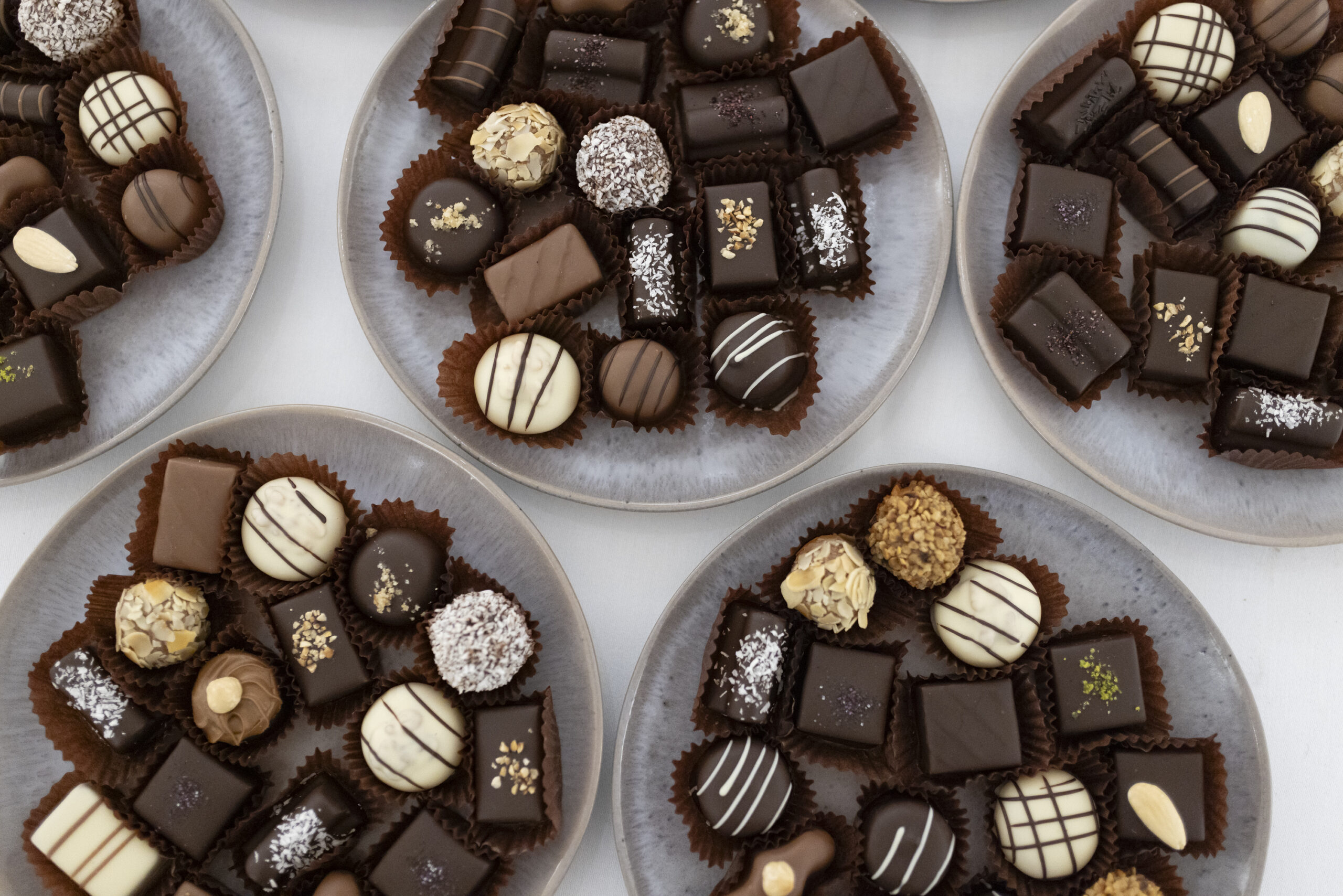 _O7A5350-MonicaBellSass